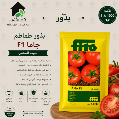 طماطم جاما F1 للبيت المحمي 1000 بذرة