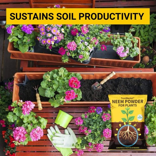 بودرة النيم 450 جرام