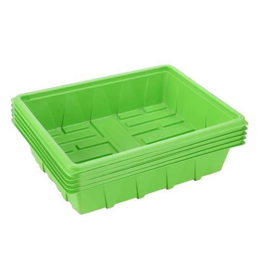 صينية تجذير