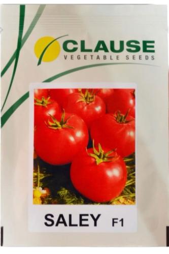 بذور طماطم سالي 1000 بذرة