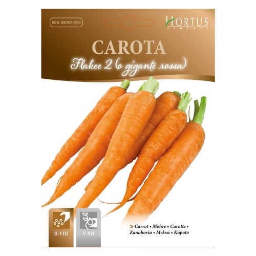 بذور جزر هندي 10 جم