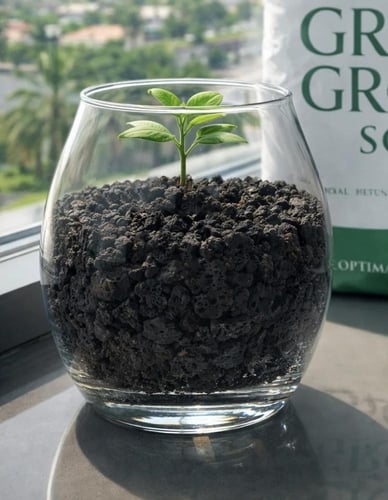 حجر بركاني 15 كجم