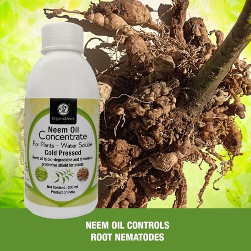 زيت النيم خام اورجانك 200 مل