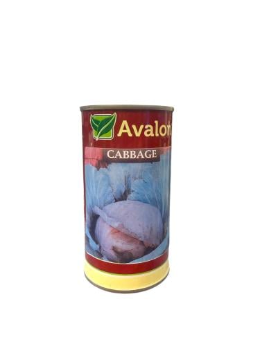 بذور ملفوف احمر امريكي 50 جم