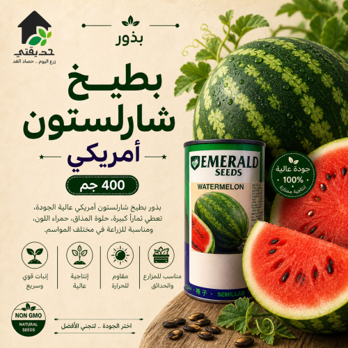 بذور بطيخ شارلستون امريكي 400 جم