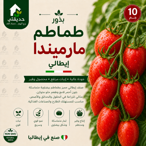 بذور طماطم مارميندا ايطلي