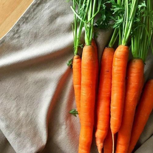 بذور جزر 50جم