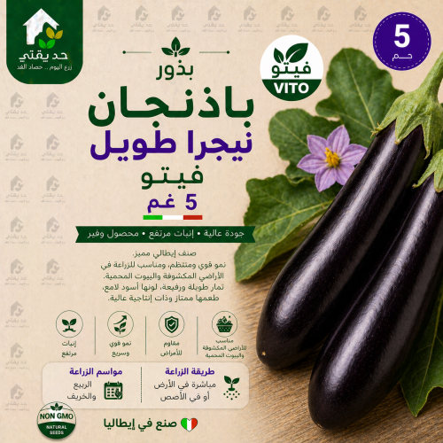بذور باذنجان نيجرا طويل فيتو 5 غم