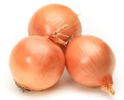 بذور بصل ذهبي ايطالي