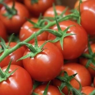 بذور طماطم امريكي 50 جم