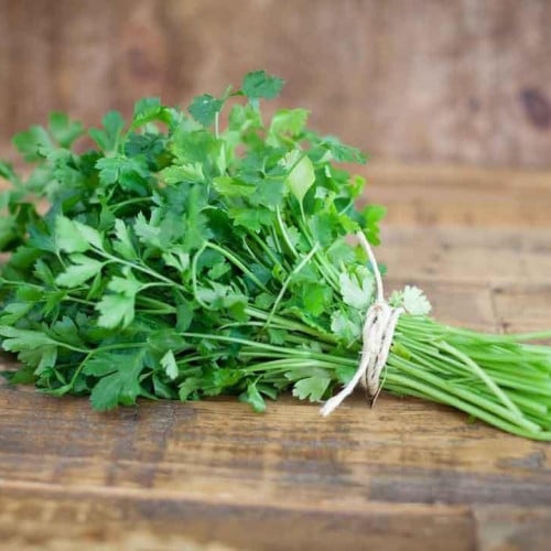 بذور بقدونس مصري 1 كجم