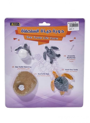 أشكال تعليمية ثلاثية الأبعاد تعلم دورة حياة مكونة...