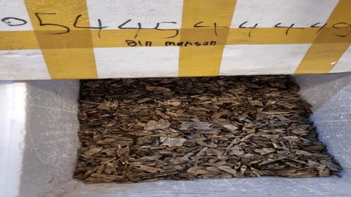 عود كنامي صيني طيب