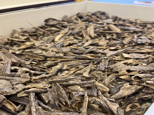 هندي خط قديم فاخر دبل وفيه سوبر عالي كسر ذهبية مين...