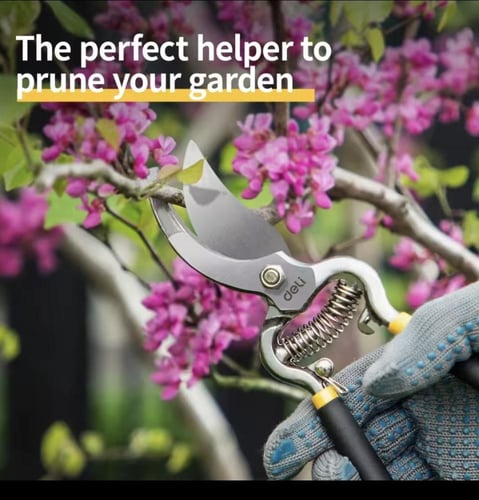 مقص ورد طبيعي و صناعي من الفولاذ