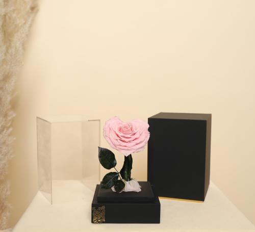 ورد دائم سنه على شكل قلب