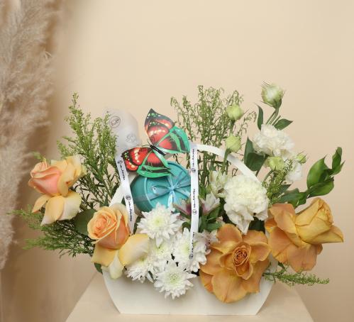 شنطه العجائب