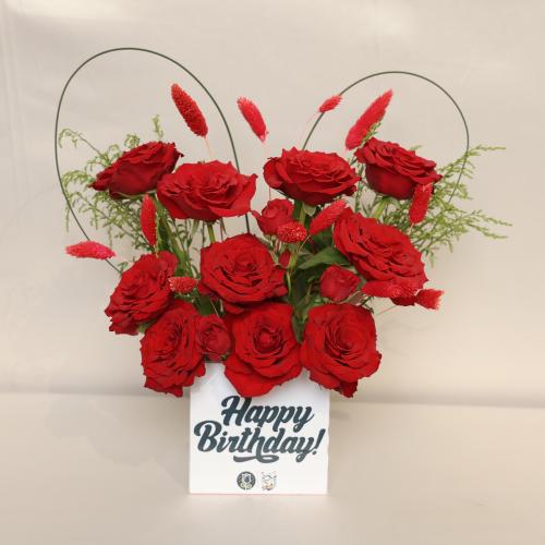 بوكس الميلاد