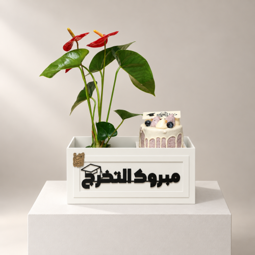 بوكس تخرج بالكيك والنبتة