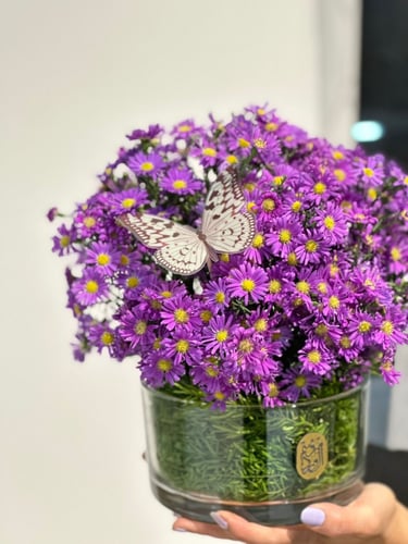 فازه ورد موف