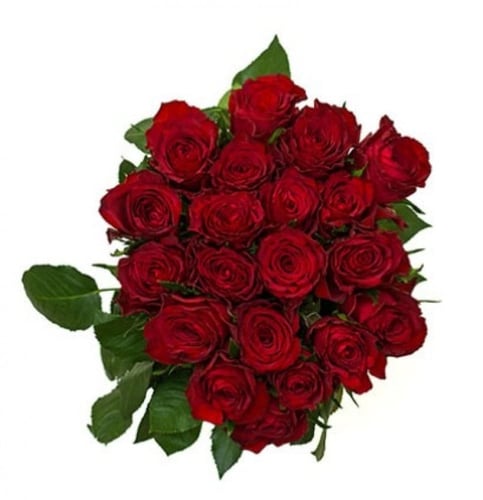 جوري(10 أغصان)-RED