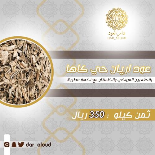 أريان حي كاها