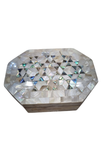 علب صدف طبيعي