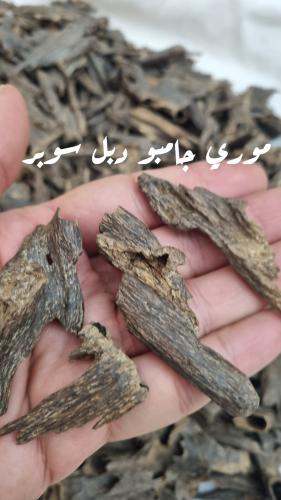 موري قديم دبل