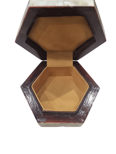 علب صدف طبيعي