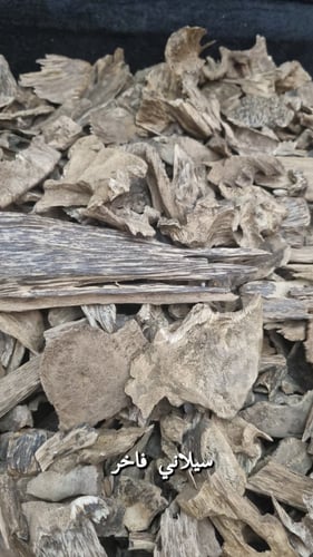 سيلاني فاخر