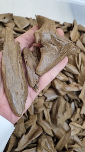 مروكي كنامي تربيل سوبر