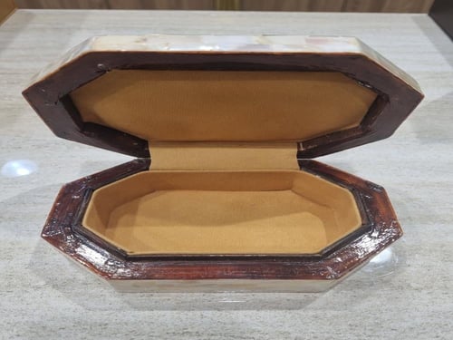 علب صدف طبيعي