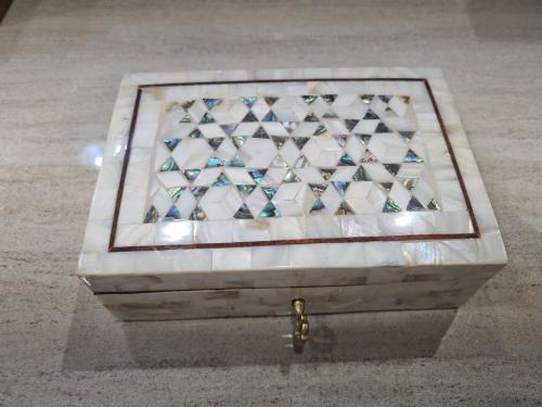 علب صدف طبيعي