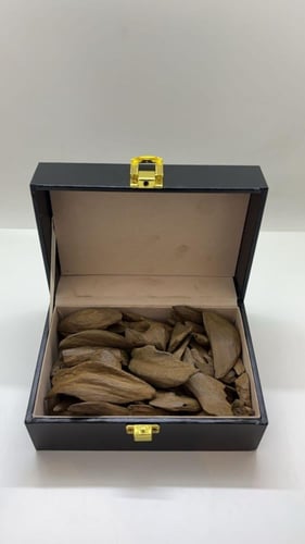 مروكي آصقون دبل ميني