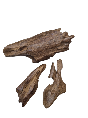 مروكي كنامي تربيل سوبر