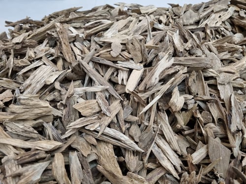 أريان حي كاها