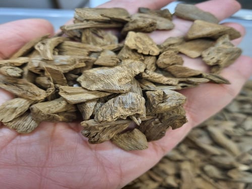 مروكي كنامي ميني سوبر