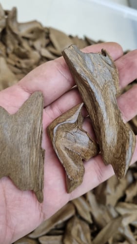 مروكي كنامي تربيل سوبر