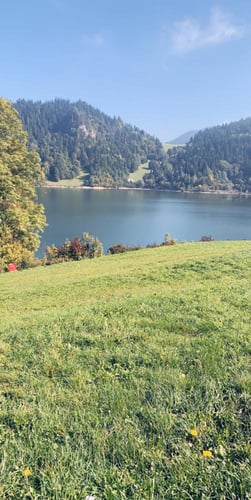 بولندا ٦ ايام