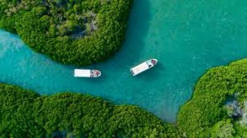 جازان وجزر فرسان الفاخر