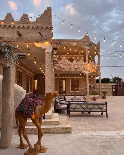 كشتة الرياض ( مزرعه) نساء