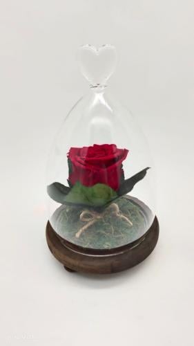 ورد طبيعي دائم