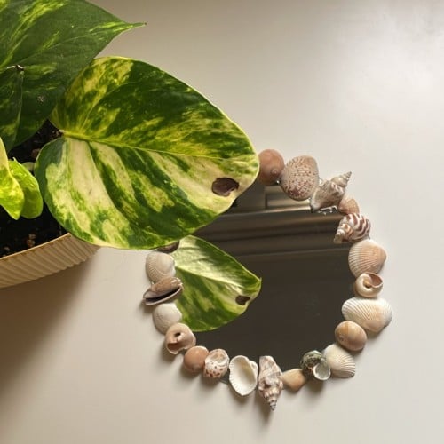 مراية الصدفات "وسط"