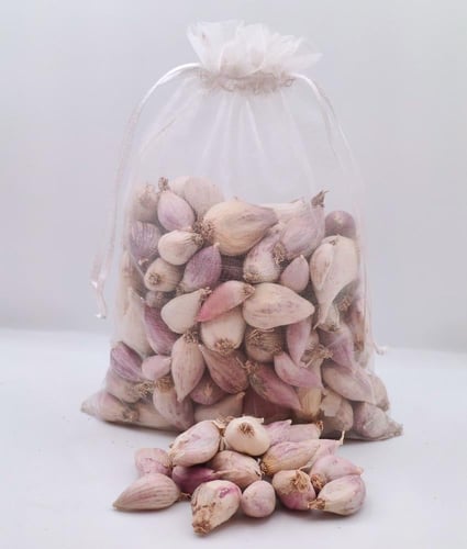 ثوم ذكر يمني 250 غرام