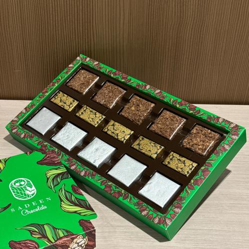 سادين 9