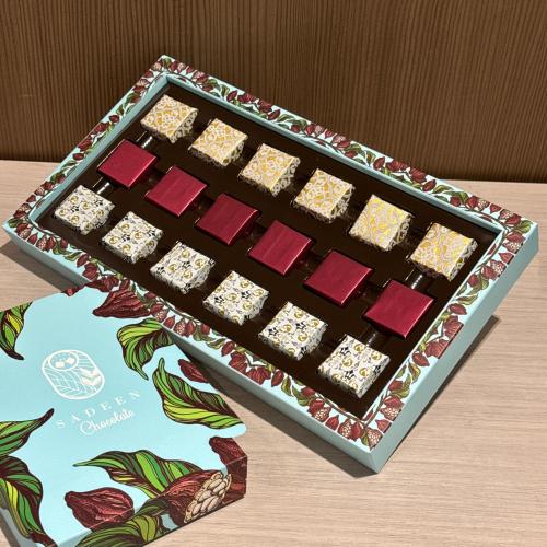 سادين 10