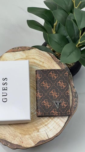 محافظ جيس ..