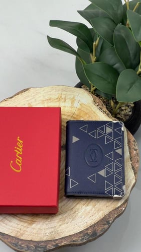 محافظ كارتير ٢.