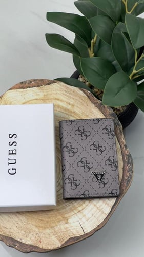 محافظ جيس ..