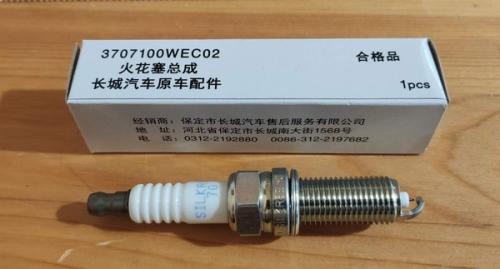 طقم بواجي هافال H9 اصلي وكالة